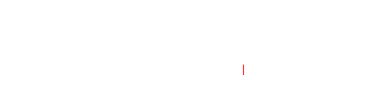 Flash Logo Weiß